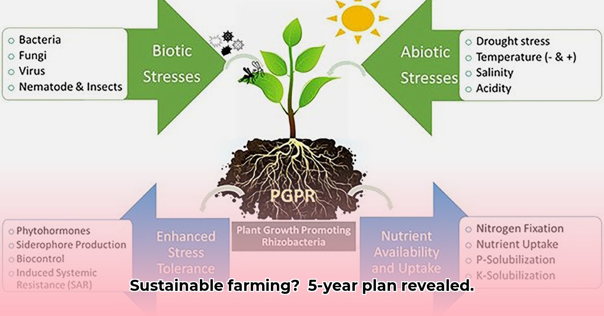 sustainable-agriculture-producer-roles